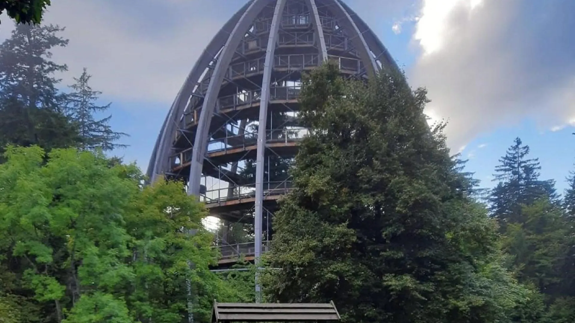 Blockhaus Am Baumwipfelpfad Apartment Neuschoenau