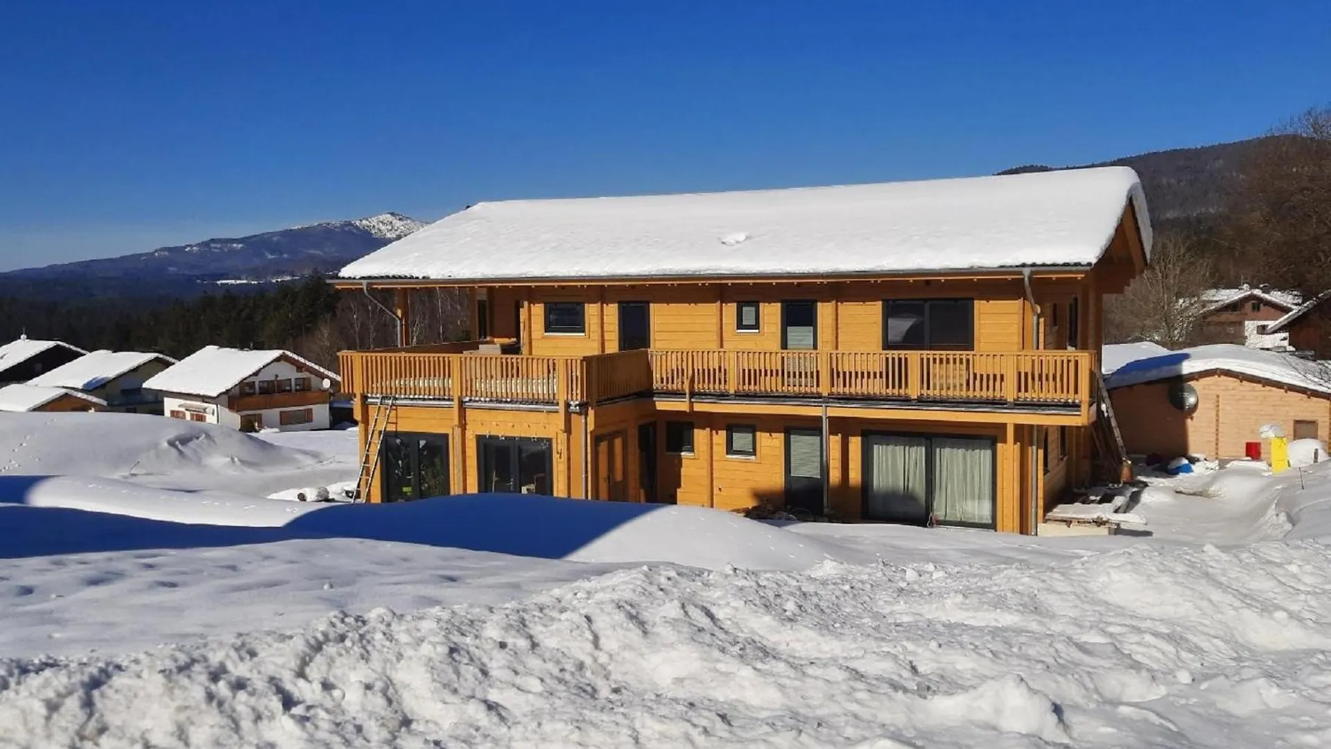 Blockhaus Am Baumwipfelpfad Apartment Neuschoenau 0*,